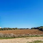 Vue * Royan