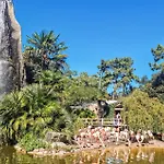 Vue *